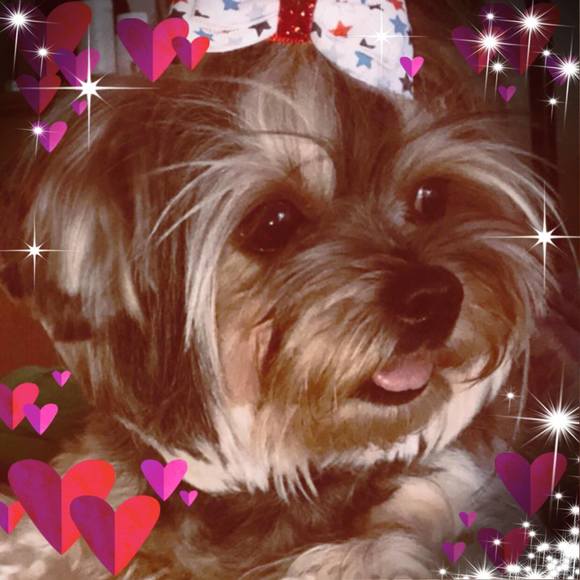 Meet your Posher, Erika - Picture 1 of 1